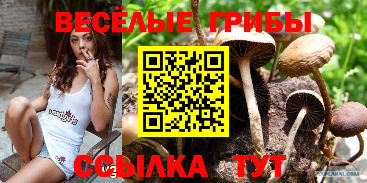 Галлюциногенные грибы мицелий Малоярославец