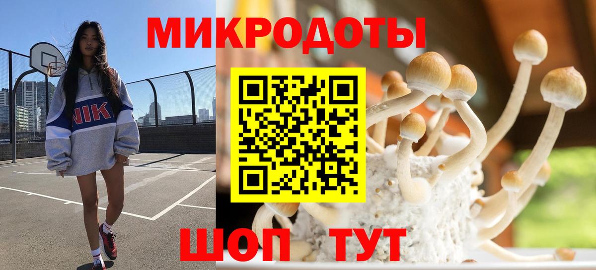 наркотики  Галлюциногенные грибы Psilocybe  Малоярославец  Вход с VPN  Галлюциногенные грибы мицелий 